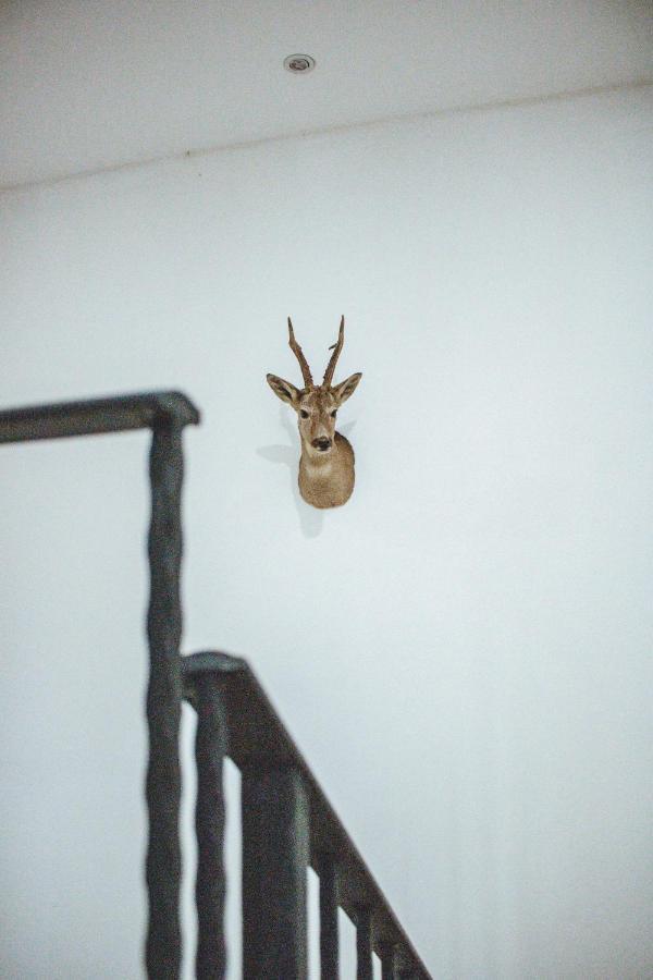 Country House Oberfeld Vipava Esterno foto